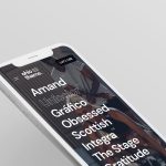 SEO pentru WEB