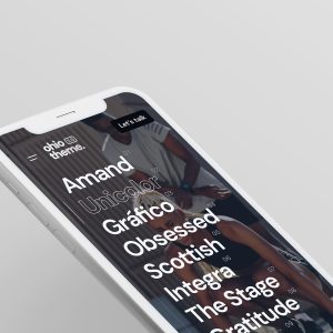 SEO pentru WEB
