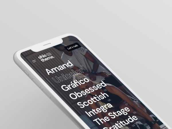SEO pentru WEB